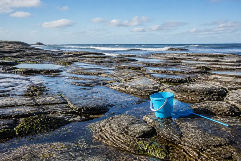 Rock pools at low tide with a child's bucket and net